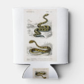 ラトルズネクサハラ角ビパーイラストレーション 缶クーラー (裏面)