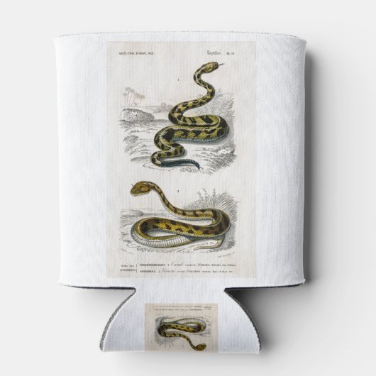 ラトルズネクサハラ角ビパーイラストレーション 缶クーラー (裏面)