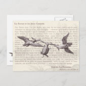 ラトルテエドゥクカナード：ジャンデラフォンテーヌ ポストカード (正面/裏面)