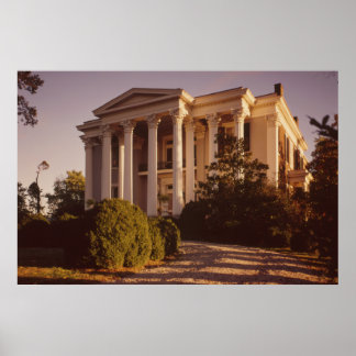 ラトル&スナッププランテーションコロンビアTNポスター ポスター