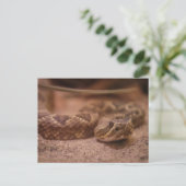 ラトル ポストカード (スタンド正面)