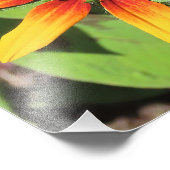 ラドベキ独身のアフラワー撮影プリント フォトプリント (角)