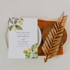 ラドルチェヴィタレモンシトラスセーブ 招待状