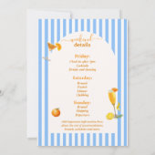 ラドルチェヴィータバチェロレッテウィークエンドパーティー セーブザデート (裏面)