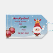 ラドルフ・サンタクロースからの特別な贈り物 ギフトタグ (正面(横))