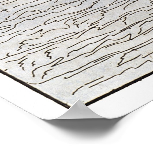 ラドロン諸島 ポスター (角)