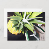 ラナイ日帰り葉書 ポストカード (正面/裏面)