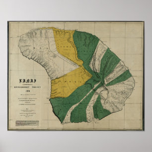 ラナイ, 1878,ハワイのヴィンテージの地図 ポスター