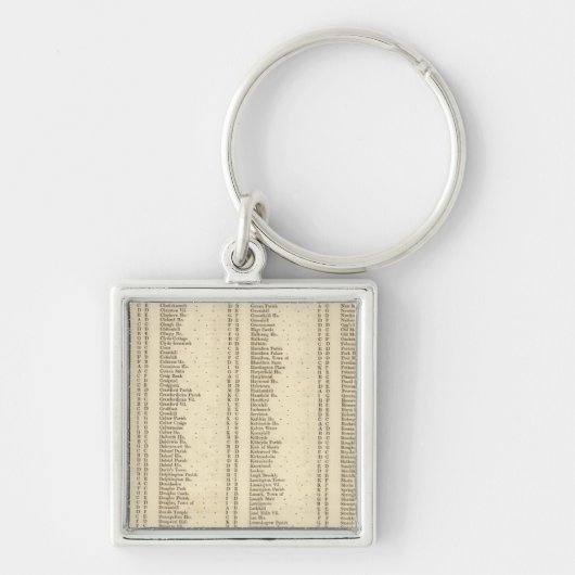 ラナークシャー指数 キーホルダー (正面)