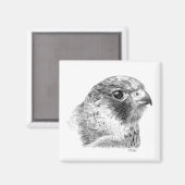 ラナー《鳥》ハヤブサスケッチ マグネット (正面/裏面)