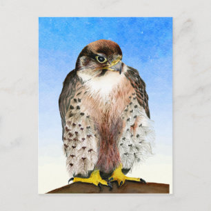 ラナー《鳥》ハヤブサバードウォーター絵画カラーのはがき ポストカード
