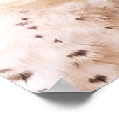 ラナー《鳥》ハヤブサ鳥 ポスター (角)