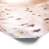 ラナー《鳥》ハヤブサ フォトプリント            (角)