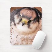 ラナー《鳥》ハヤブサ マウスパッド (マウス)