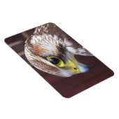 ラナー《鳥》ハヤブサ マグネット (右側)