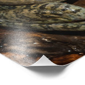 ラナ・カテベイナ・ブルカエル フォトプリント            (角)