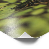 ラナ・ベルランディーリのリオ・グランデ・レオパード・カエル。 フォトプリント            (角)