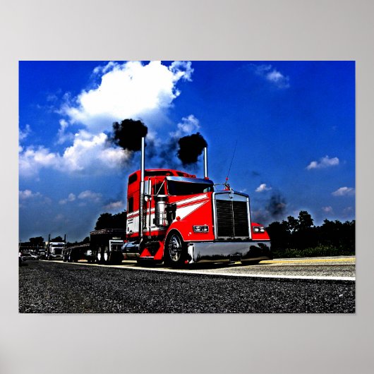 ラニタ・ローリンのポスター ポスター (正面)