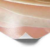 ラヌンキュラス花 フォトプリント            (角)