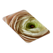 ラヌンキュラス花 マグネット (右側)