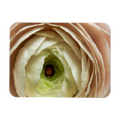 ラヌンキュラス花 マグネット (横)