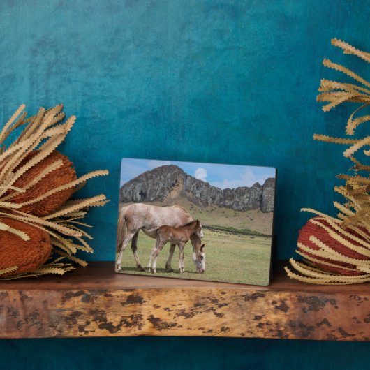 ラノララクの火山クレーターでマーレ&子馬 フォトプラーク (側面)