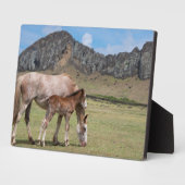 ラノララクの火山クレーターでマーレ&子馬 フォトプラーク (側面)