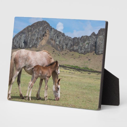 ラノララクの火山クレーターでマーレ&子馬 フォトプラーク (側面)