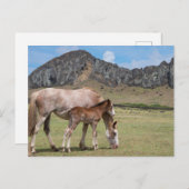 ラノララクの火山クレーターでマーレ&子馬 ポストカード (正面/裏面)