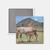 ラノララクの火山クレーターでマーレ&子馬 マグネット (正面/裏面)