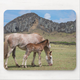 ラノ・ララクの火山のクレーターのマーレと子馬 マウスパッド