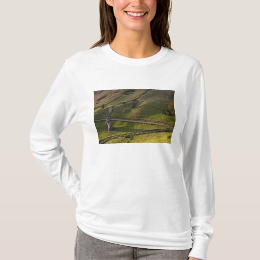 ラノ・ララク、ラパ・ヌイ、イースター島、チリ Tシャツ (正面)
