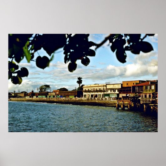 ラハイナ – マウイ ポスター (正面)