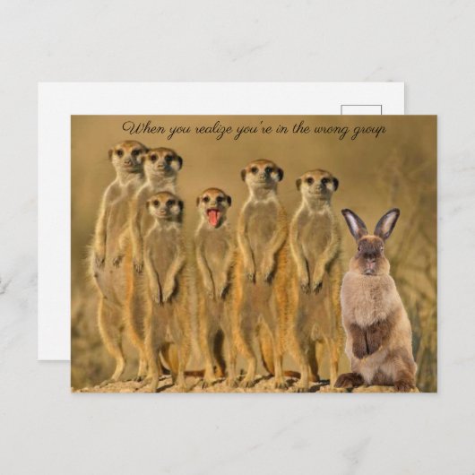 ラバおもしろいスメルカットポストカード写真 シーズンポストカード (正面/裏面)