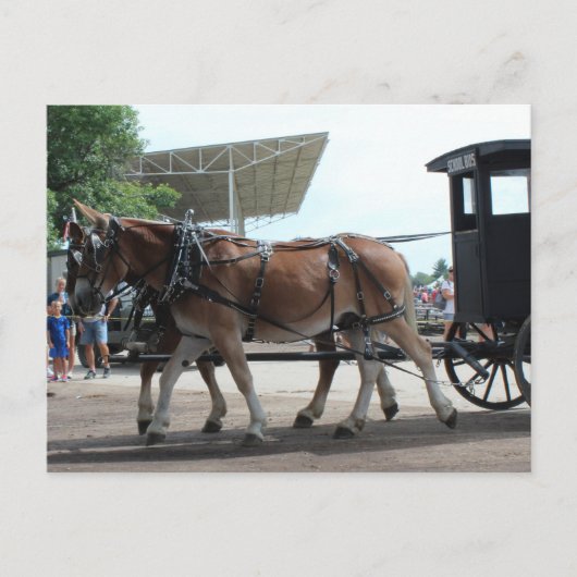 ラバで運転されるスクールバス ポストカード (正面)