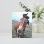 ラバのジョシおもしろいー ポストカード (スタンド正面)