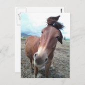 ラバのジョシおもしろいー ポストカード (正面/裏面)