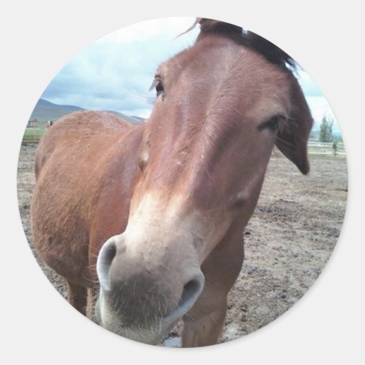 ラバのジョシおもしろいー ラウンドシール (正面)