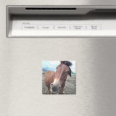 ラバのジョージー マグネット (インサイチュ (食洗機))