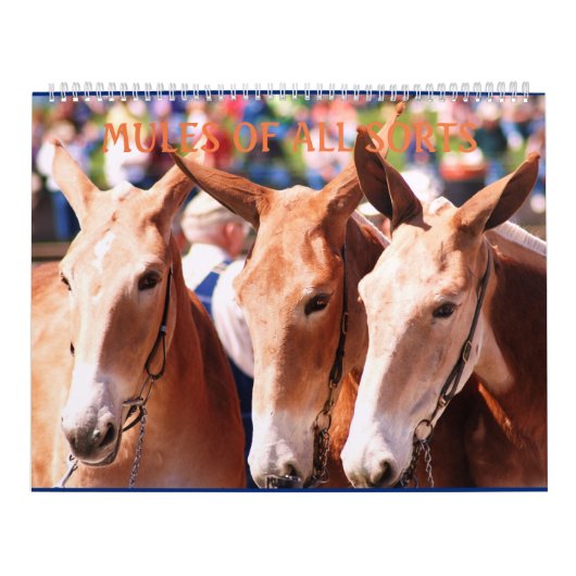 ラバのラバのラバ カレンダー (カバー)