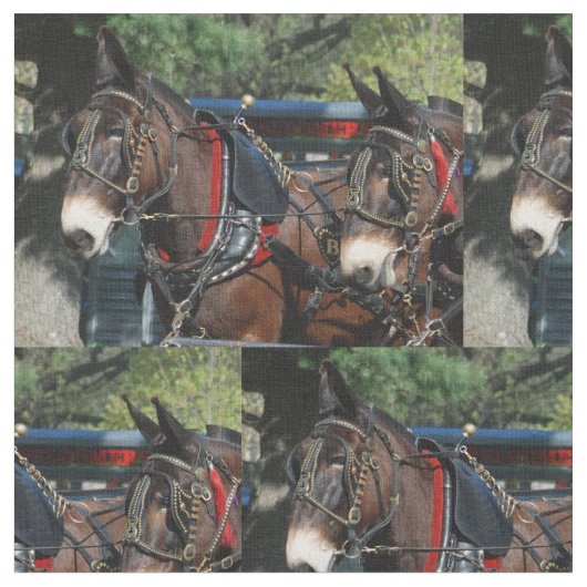 ラバの日 ファブリック (クローズアップ)