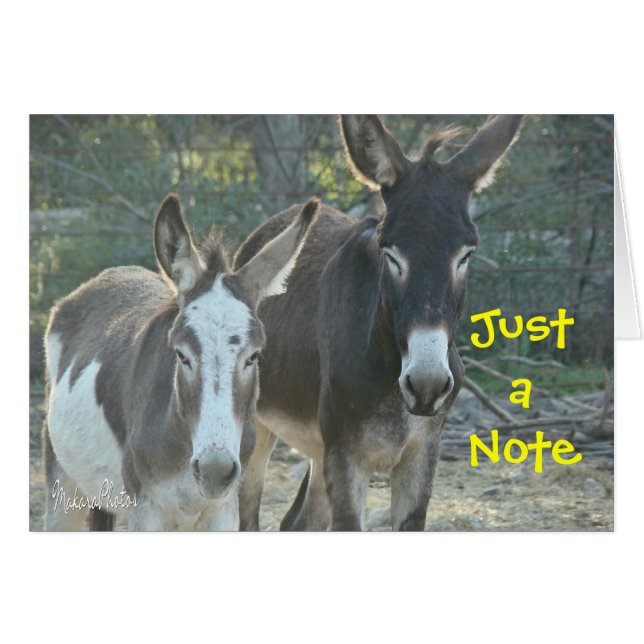 ラバの空白のなカード (正面横)