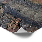 ラバカティ ポスター (角)