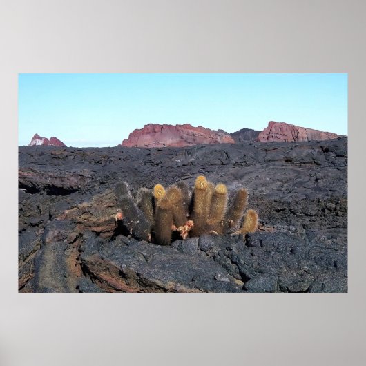 ラバカティ ポスター (正面)