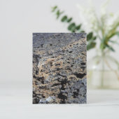 ラバクレーターズ ポストカード (スタンド正面)