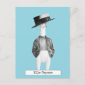 ラバクールー鶏はがき ポストカード (正面)