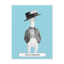 ラバクールー鶏はがき