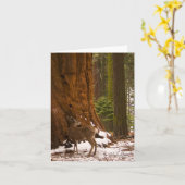 ラバシカの挨拶状 カード (黄色い花)