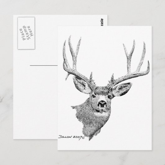 ラバシカ ポストカード (正面/裏面)