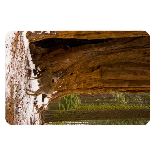 ラバシカ マグネット (横)